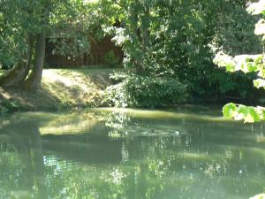 Maisons de vacances gite de la maison de l'etang : photos des chambres