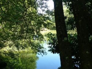 Maisons de vacances gite de la maison de l'etang : photos des chambres