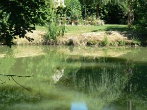 Maisons de vacances gite de la maison de l'etang : photos des chambres