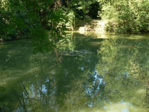 Maisons de vacances gite de la maison de l'etang : photos des chambres