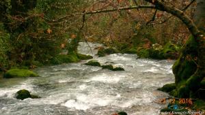 Hotel Pelagos Studios Evia Greece