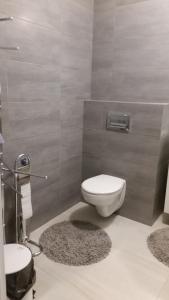 Apartament Roza Wiatrow