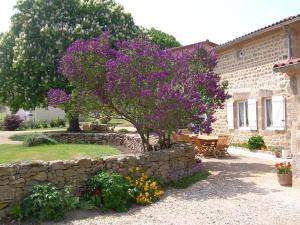 Chez Tiane Puy de Dôme photo 15