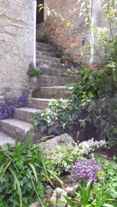 Appartements - Charme, jardin et vue imprenable en plein coeur de St-Cirq