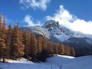 Appartements Le Gabion, luxueux appartement avec sauna, Serre chevalier Vallee : photos des chambres