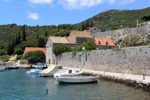 Rooms by the sea Zaton Mali (Dubrovnik) - 8997