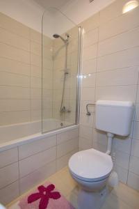 Two-Bedroom Apartment with Terrace room in Family friendly apartments with a swimming pool Verunic Dugi otok - 14286