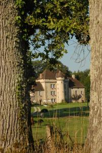 Château de la Chassagne photo 9