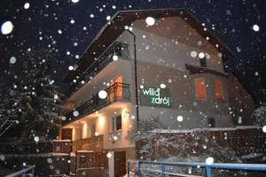 Willa Zdrój - Krynica-Zdrój