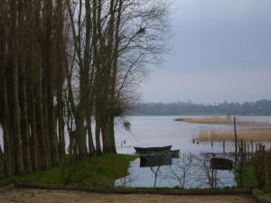 Maisons de vacances Gite Les Marais de la Douve : photos des chambres