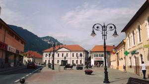 Apartment with Mountain View room in Apartament Zarnesti