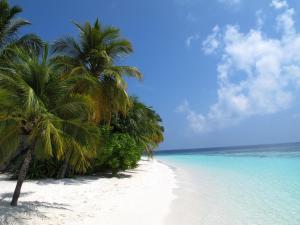 Beach Palace