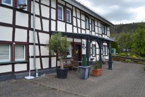 4 hvězdičkov&yacute; apartm&aacute;n Ferienwohnung Nellessen Simmerath Německo