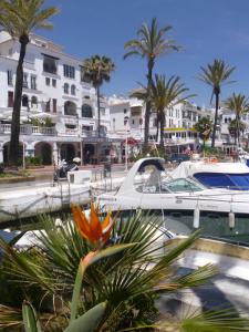 Two-Bedroom Apartment room in 2044-Groundfloor with huge terrace and pools
