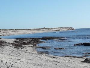 appartement proche de la mer