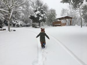 Hotel Miramonti Seulo Turismo Rurale img81