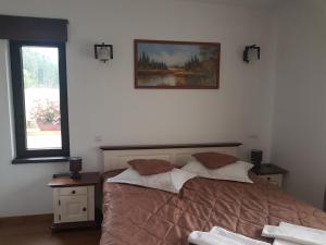 Double Room room in Pensiunea Andrade