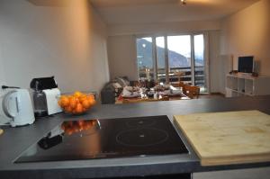 Apartment Leysin - Swiss Alps - Fully Renovated !