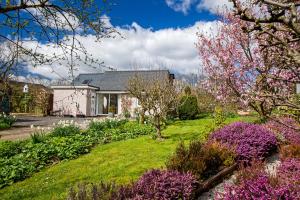 Talu Ty'r Afon - River Cottage Bala Suurbritannia