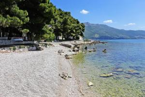 Apartments with a parking space Orebic Peljesac 10151