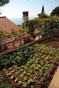 Apartments with parking space Dubrovnik - 4673