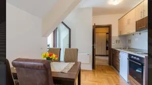 Nas Svet - 兹拉蒂博尔