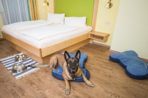 Hotell Hotel Grimming Dogs and Friends Rauris Austria