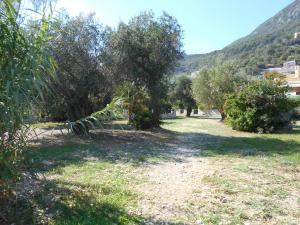 Lukia Barbati Mare Corfu Greece