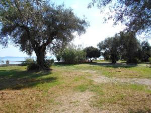 Lukia Barbati Mare Corfu Greece