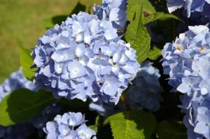 Ferienhaus Klookris 15