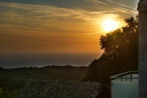 Euphoria Retreat
