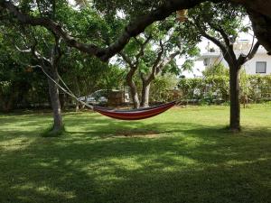 Viena Rooms & Apartments