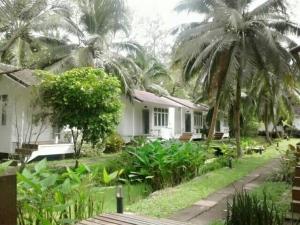 Young Coconut Garden Home Resort