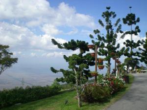 The Jerai Hill Resort