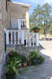 Apartments with a parking space Sali Dugi otok 8084