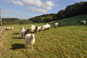 B&B / Chambres d'hotes Ferme Elhorga : photos des chambres