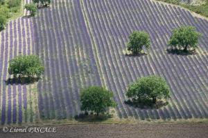 Maisons de vacances Les Mirabelles : photos des chambres