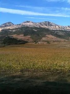 Agréable Location au coeur du vignoble DOMINICI THERESE - Prucinasca