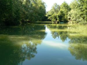 Maisons de vacances gite de la maison de l'etang : photos des chambres