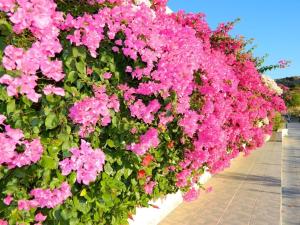 Telhinis Hotel Rhodes Greece