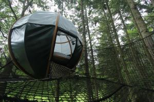 B&B / Chambres d'hotes Insolite dans les arbres Les Ormes, Epiniac : Chambre Double Bulle