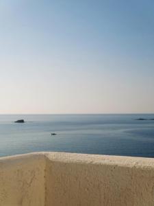 Birds Bay Resort