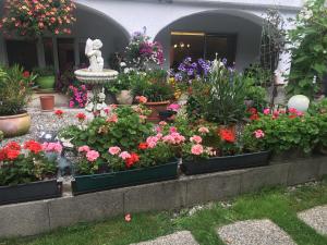 A Hotel Com Haus Lisi Apartment Oberlienz Austria Price