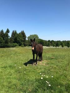 B&B / Chambres d'hotes Les Bouyeres : photos des chambres