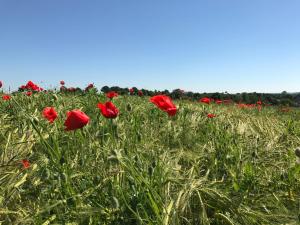 B&B / Chambres d'hotes Les Bouyeres : photos des chambres