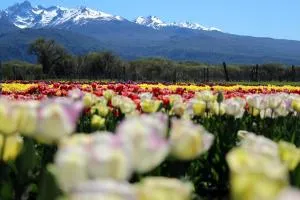 Arroyo Escondido - Trevelín