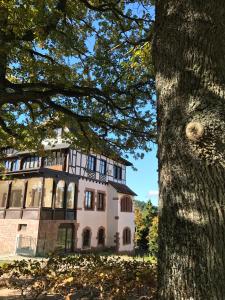 4 stern appartement Logis Du Haut-Koenigsbourg Thannenkirch Frankreich