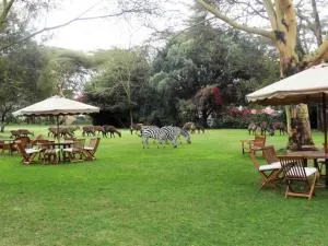 Muthu Lake Naivasha Country Club, Naivasha - Найваша