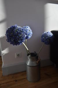 Appartements Chez Marie : photos des chambres
