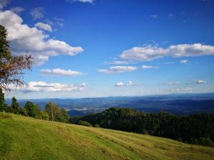 3 stern pension Guest House Pr Ambružarju Cerklje na Gorenjskem Slowenien